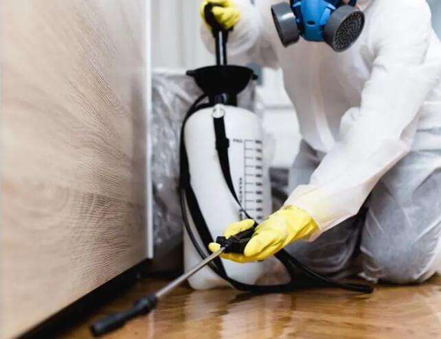 Pest Control Services in Balaclava
